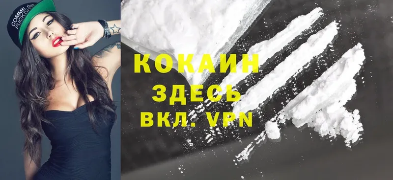 Cocaine Боливия Змеиногорск