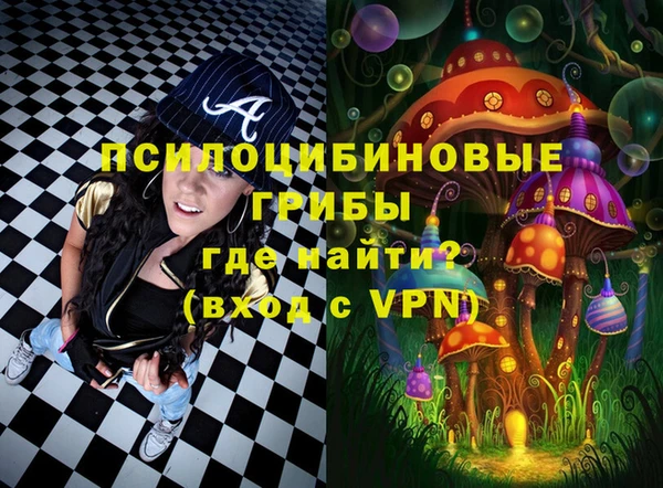 дмт Беслан