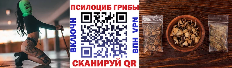 Псилоцибиновые грибы Cubensis  где можно купить   Змеиногорск 